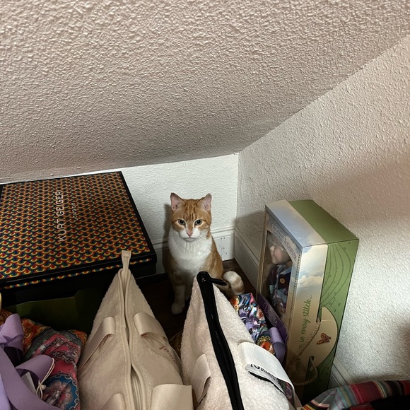 Stance socks 🧦 brand new - Picture 15 of 16